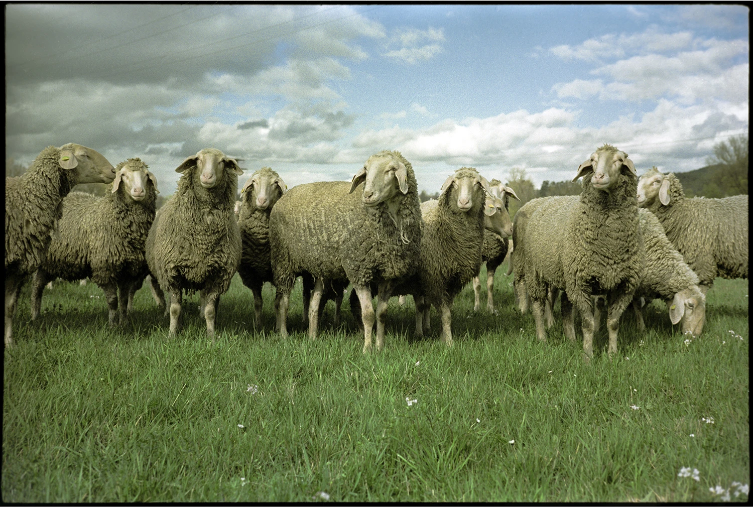 März/Kanal bei Alterlangen